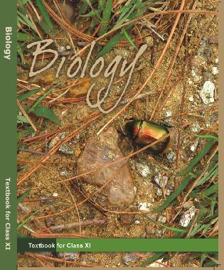 NCERT Class 11 Biology PDF Book Download » Dev Library