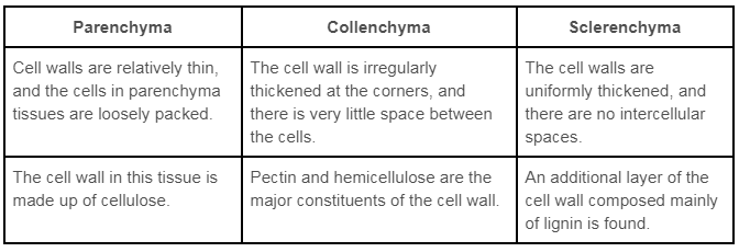 Differentiate between parenchyma, collenchyma and sclerenchyma