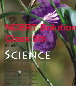 NCERT Solution Class 9th Science Ch 3