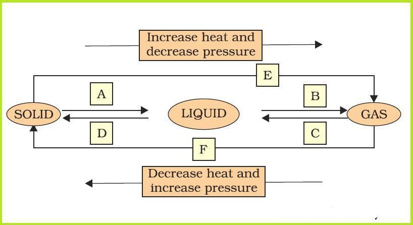 NCERT Solution Class 9th Science Chapter 1