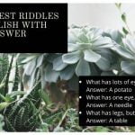 144+ Latest Riddles in English With Answer