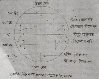 কোৰিওলিচ বল ' বুলিলে কি বুজায়