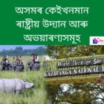Wildlife and National Park of Assam