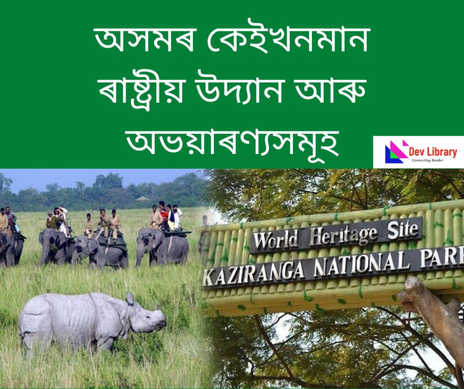 Wildlife and National Park of Assam