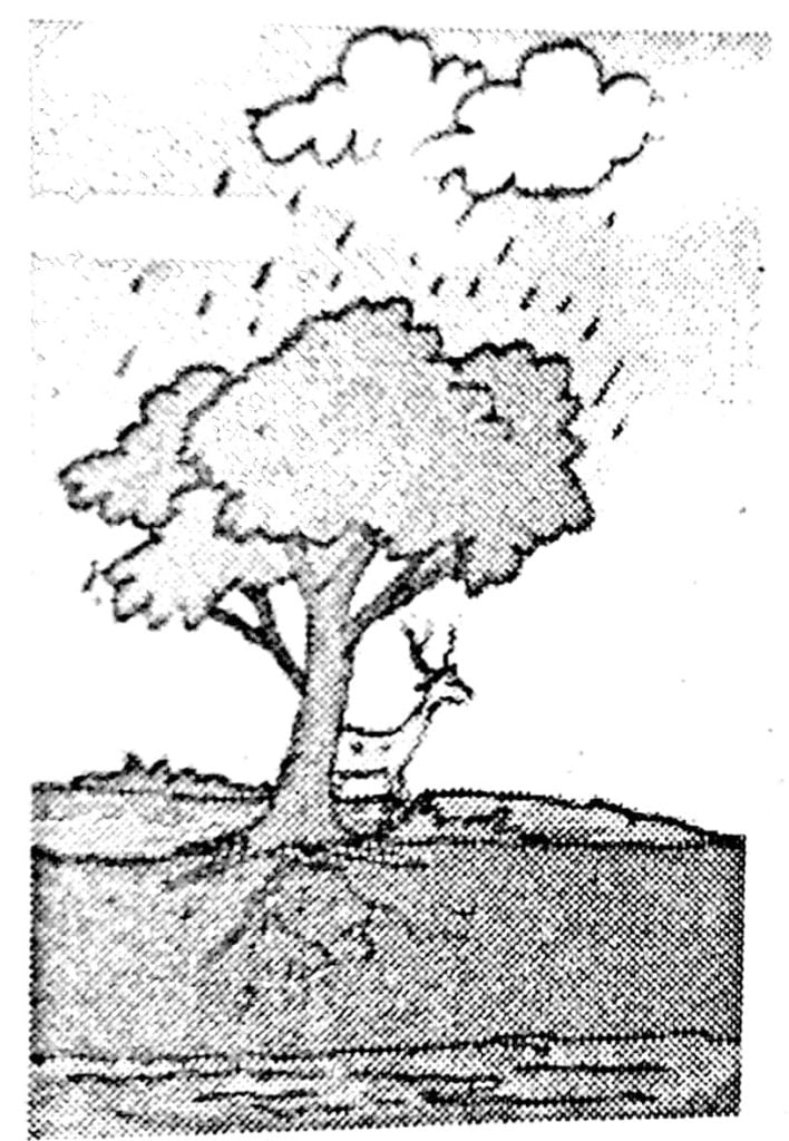 Class 7 Science Chapter - 17 বননি: আমাৰ জীৱন ৰেখা