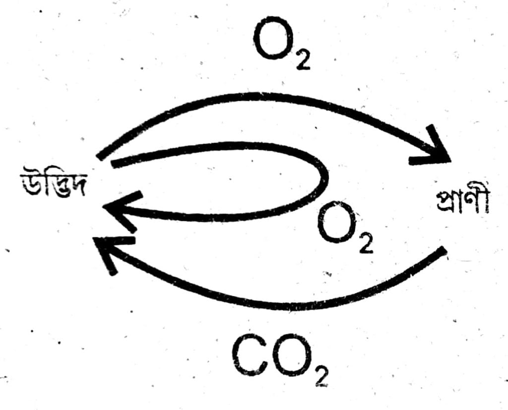 Class 7 Science Chapter - 17 বননি: আমাৰ জীৱন ৰেখা