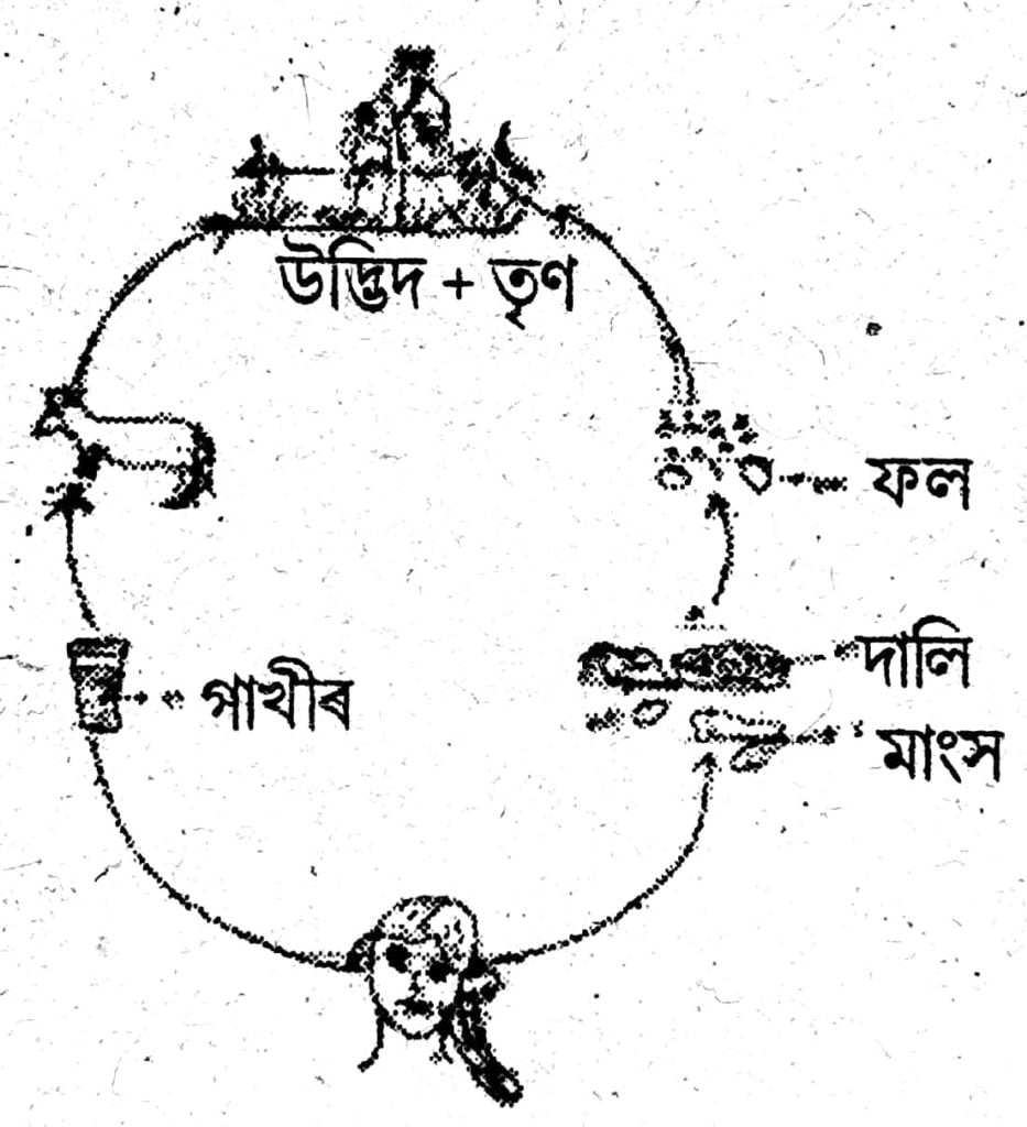 class-7-science-chapter-1-dev-library