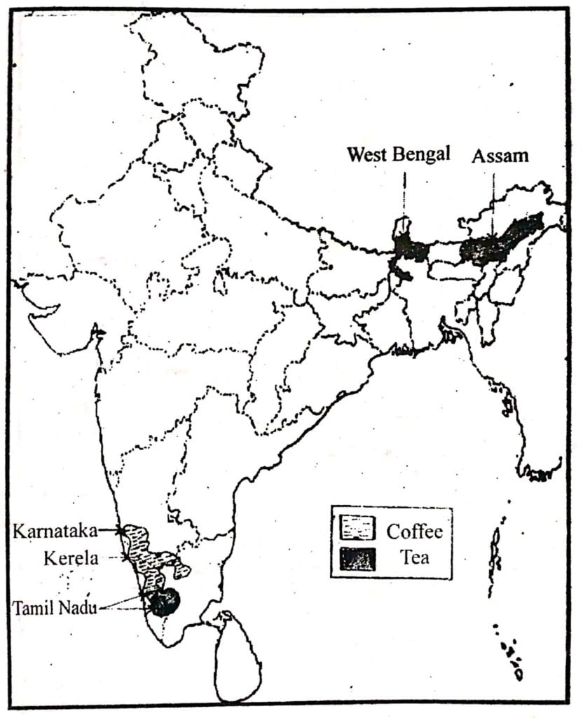 Tea and Coffee Growing areas
