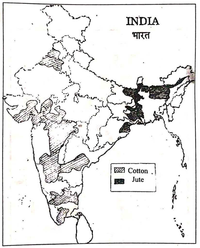 cotton and jute growing areas