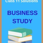 Class 11 Business Studies Solutions