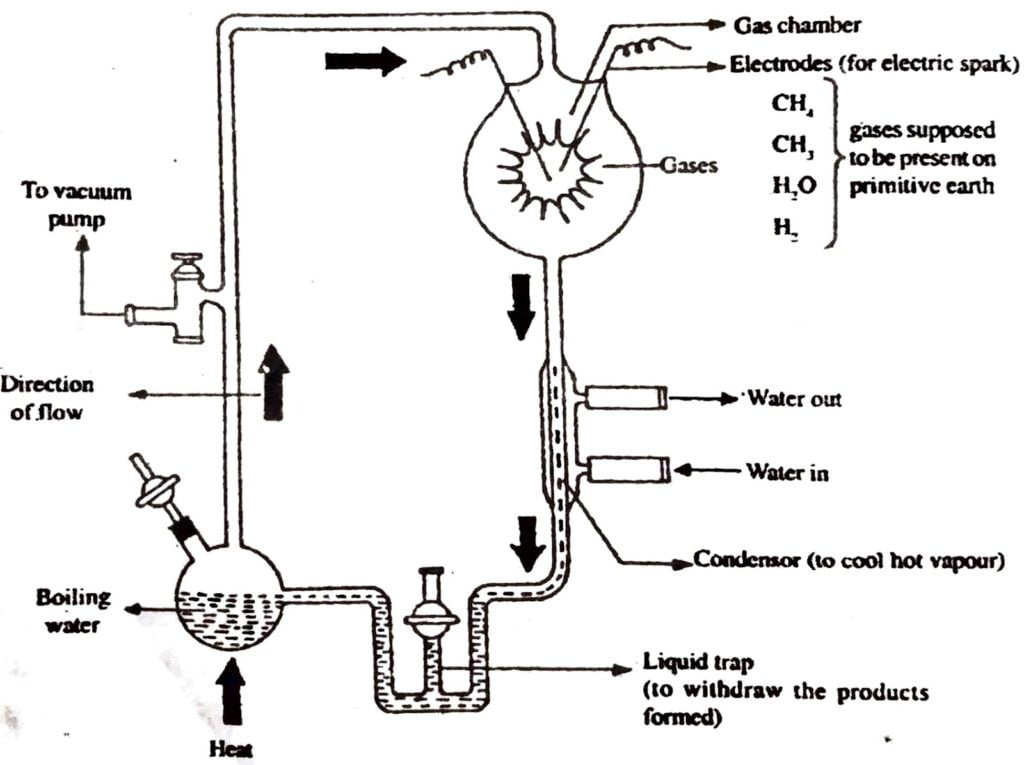 Discuss briefly the experiment of Miller