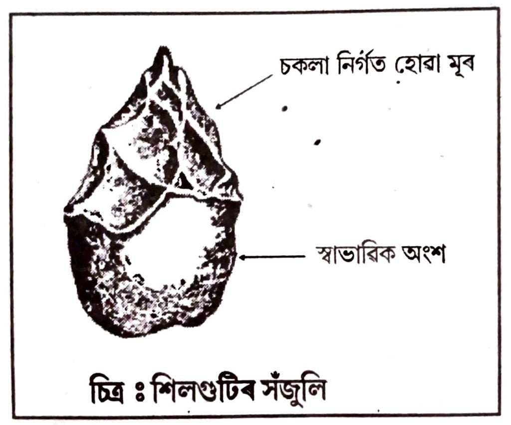 ১৯। শিলগুটি অস্ত্র কি ? এই আহিলাবোৰ কোন সংস্কৃতিৰ নিদর্শন ? চিত্র আকি দেখুওৱা 