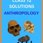 Class 12 Anthropology Solutions