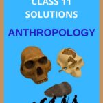Class 11 Anthropology Solutions