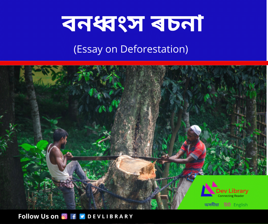 essay on forest of assam