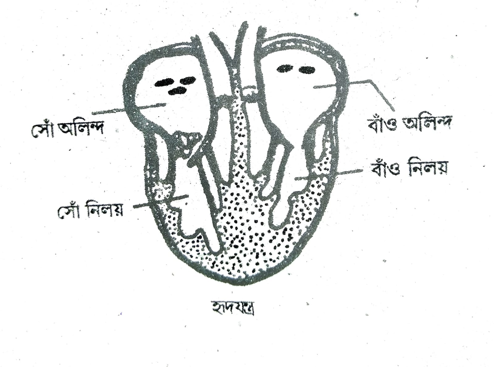 maharashtra-board-9th-std-science-textbook