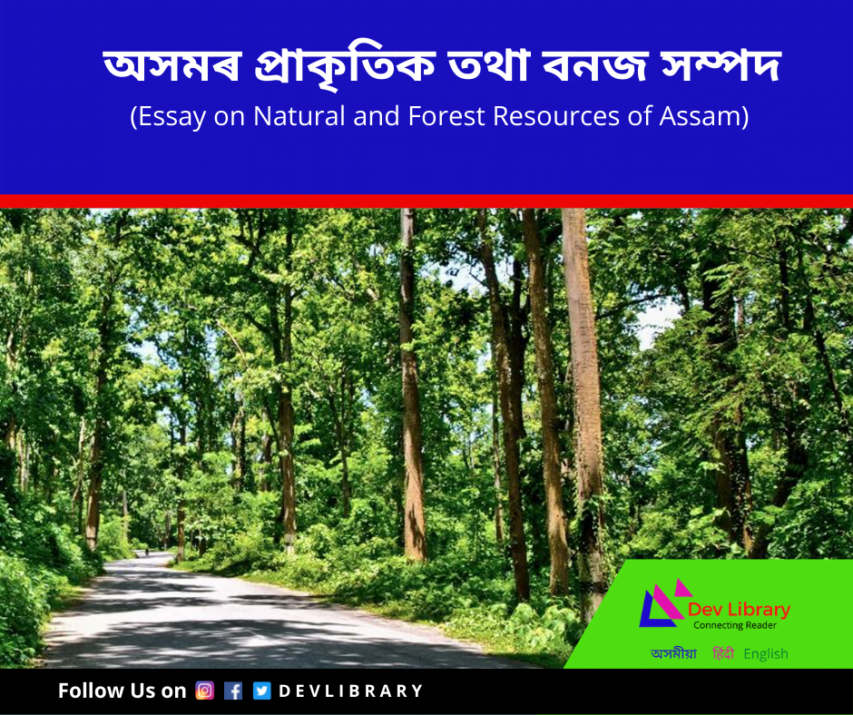 natural beauty of assam essay in assamese