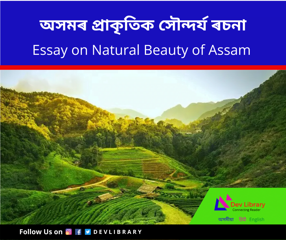 natural beauty of assam essay