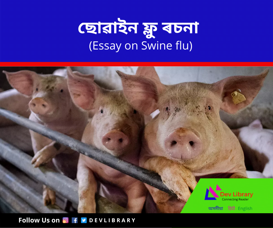 ছোৱাইন ফ্লু ৰচনা | Swine flu Essay in Assamese