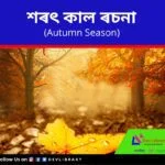 শৰৎ কাল ৰচনা Autumn Season Essay in Assamese