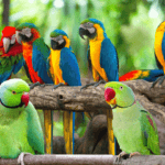 ভাটৌ চৰাইৰ বিষয়ে ৰচনা