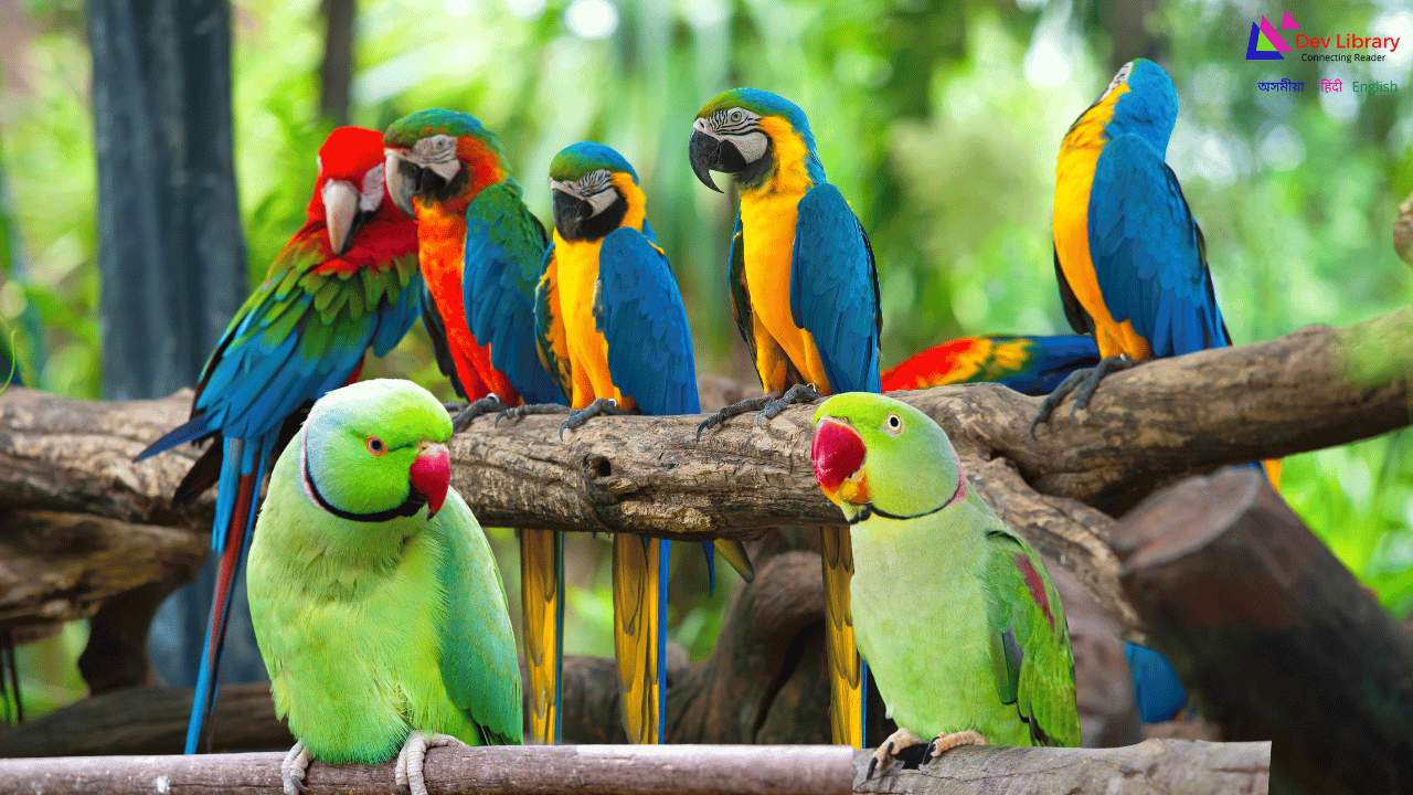 ভাটৌ চৰাইৰ বিষয়ে ৰচনা