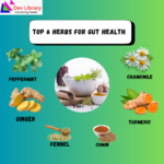 Herbs for Gut Health