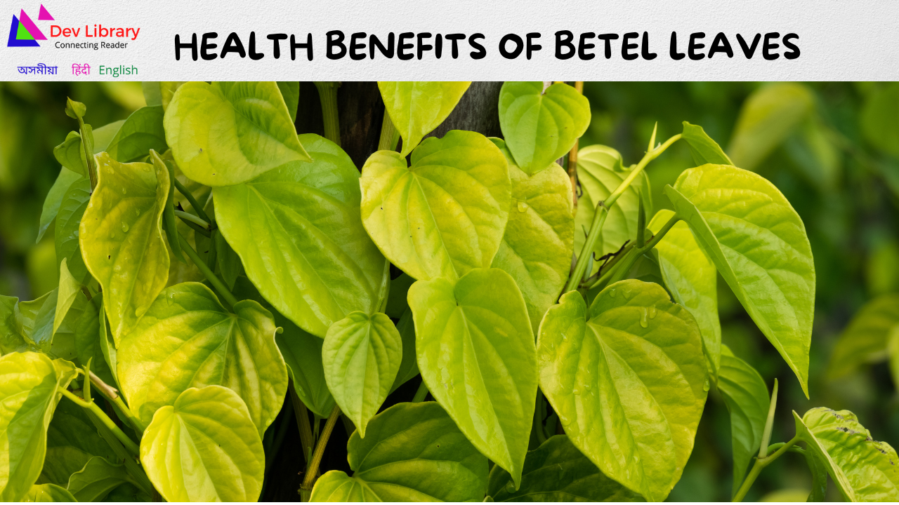 Health Benefits of Betel Leaves