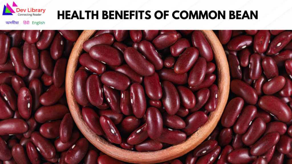 Health Benefits of Common bean | ৰাজ মাহৰ স্বাস্থ্যজনিত উপকাৰিতা