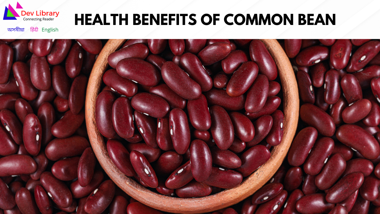 Health Benefits of Common bean | ৰাজ মাহৰ স্বাস্থ্যজনিত উপকাৰিতা