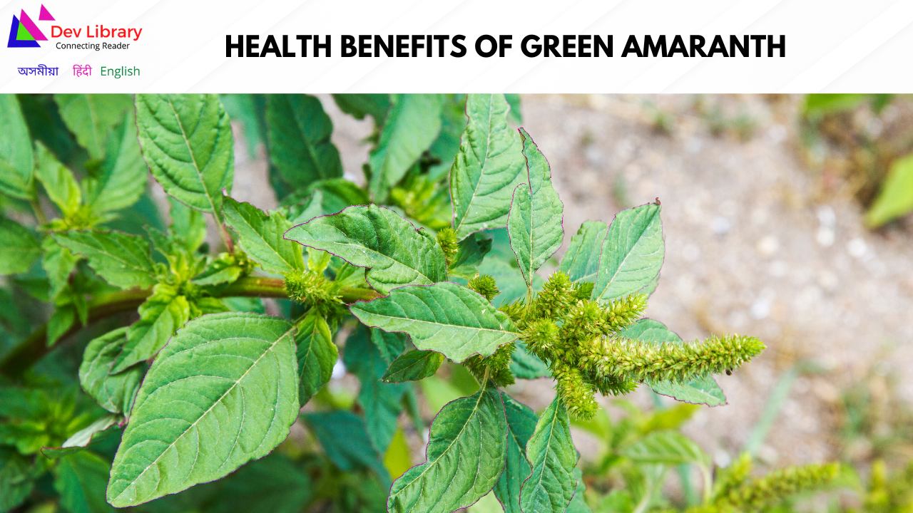Health Benefits of Green amaranth | খুতৰা শাকৰ উপকাৰিতা