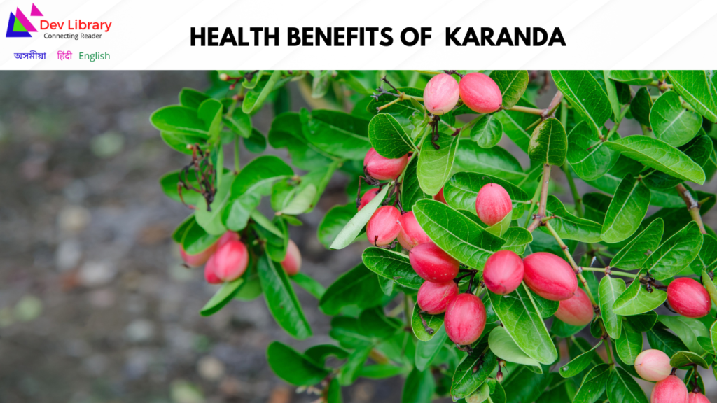 Health Benefits of Karanda