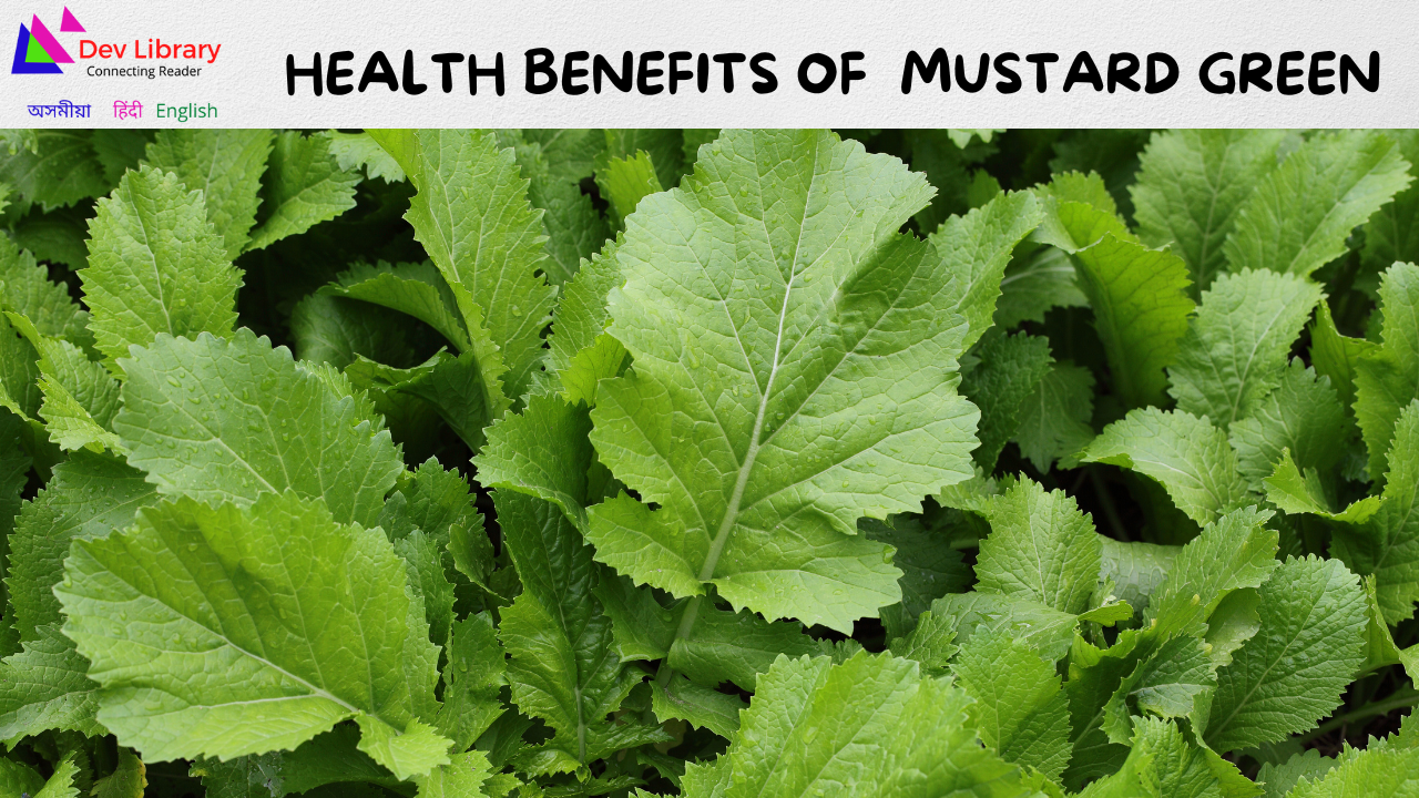 Health Benefits of Mustard Green