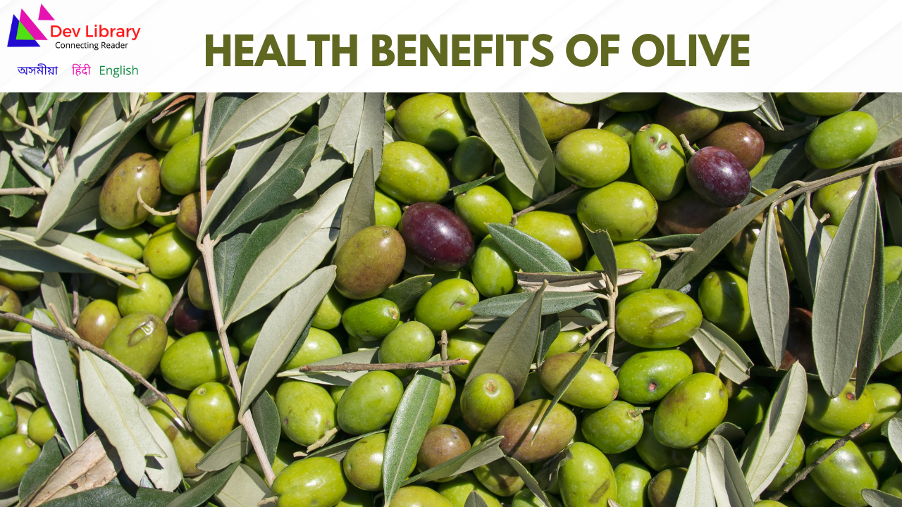 Health Benefits of Olive
