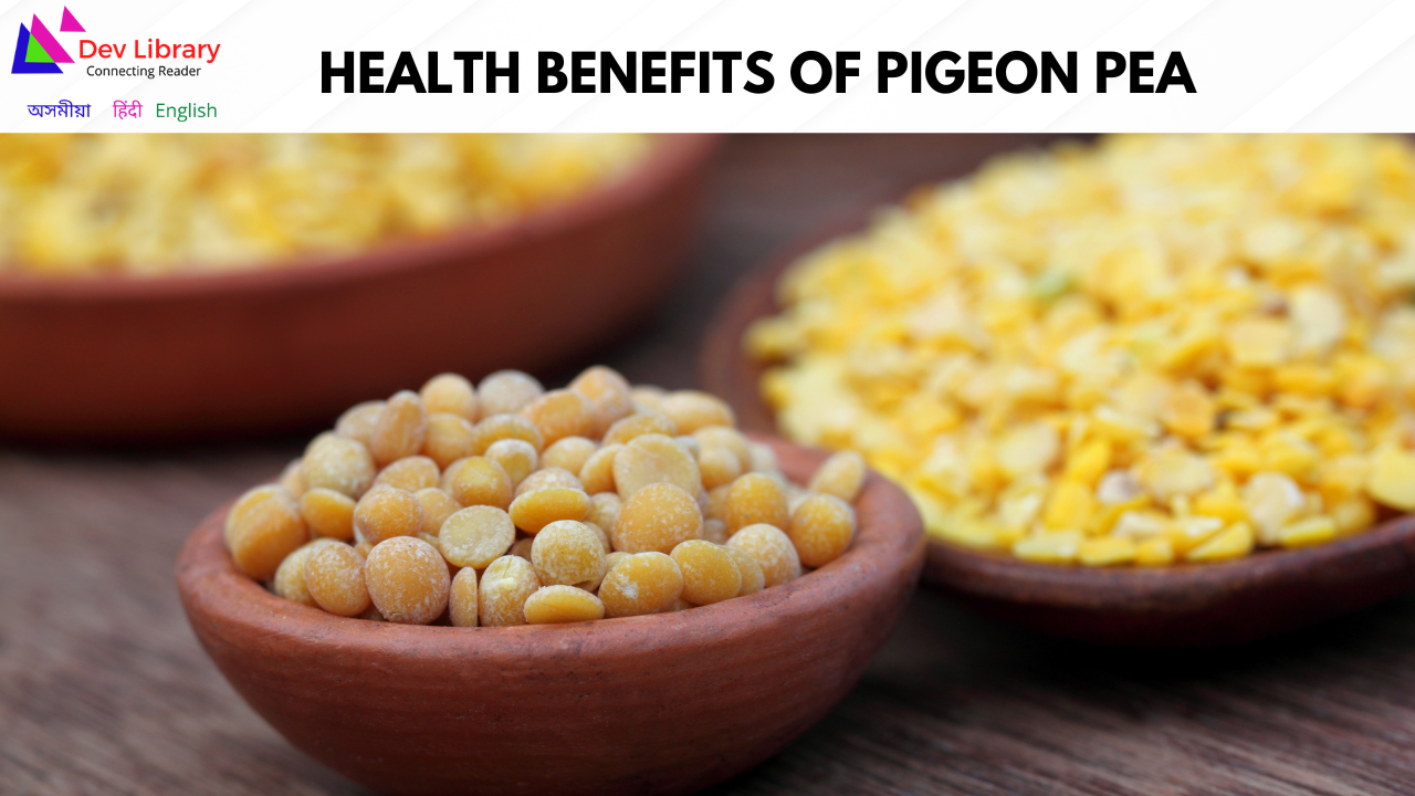 Health Benefits of Pigeon pea | অৰহৰ দাইলৰ স্বাস্থ্যজনিত উপকাৰিতা
