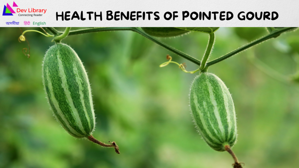 Health Benefits of Pointed gourd