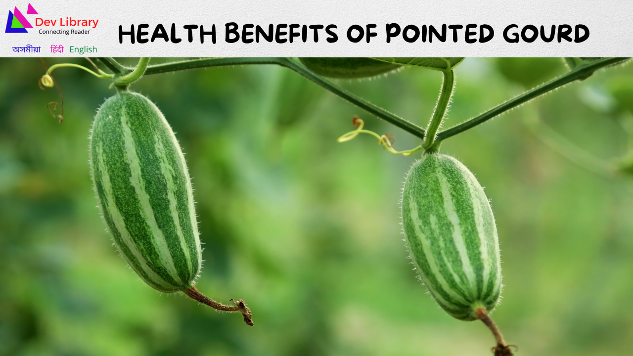 Health Benefits of Pointed gourd