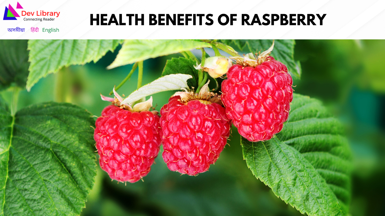 Health Benefits of Raspberry | ৰাস্পবেৰীৰ স্বাস্থ্যজনিত লাভালাভ
