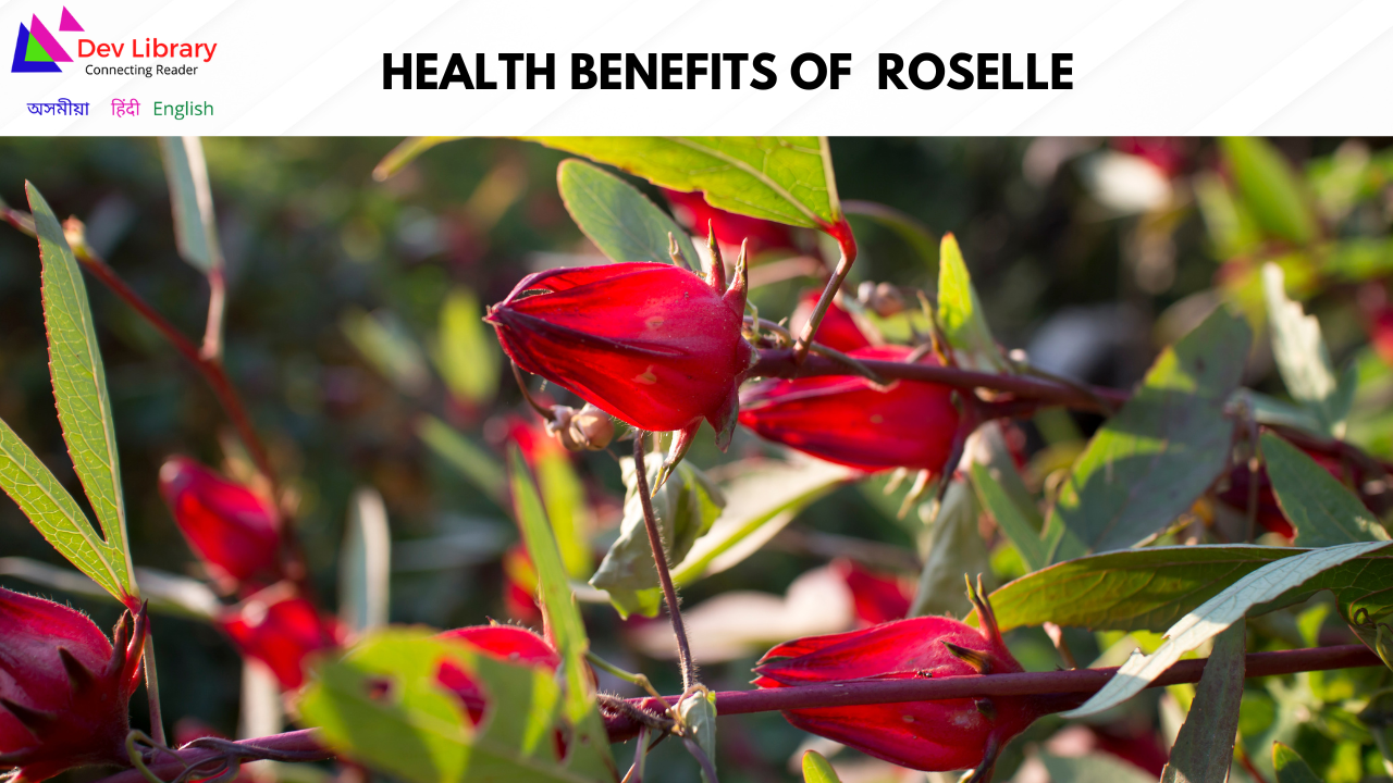 Health Benefits of Roselle