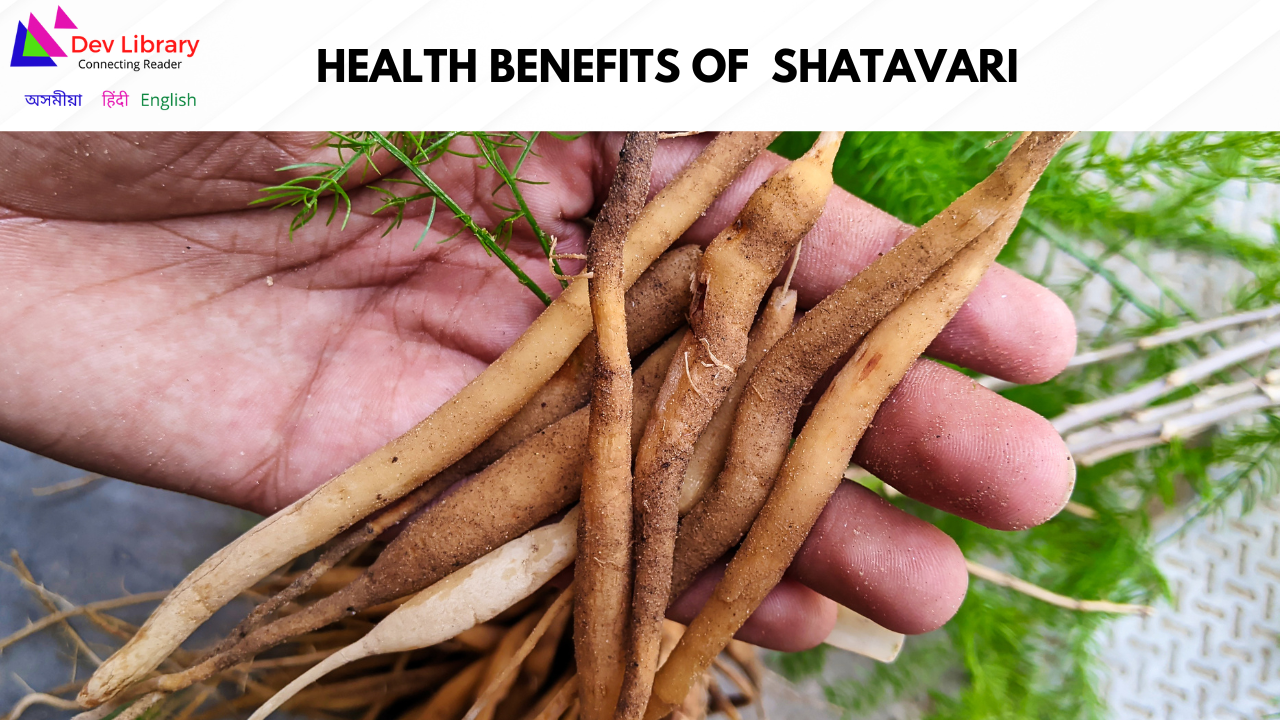 Health Benefits of Shatavari
