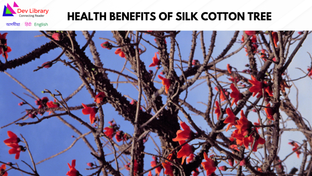Health Benefits of Silk Cotton tree