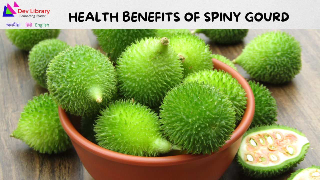 Health Benefits of Spiny gourd