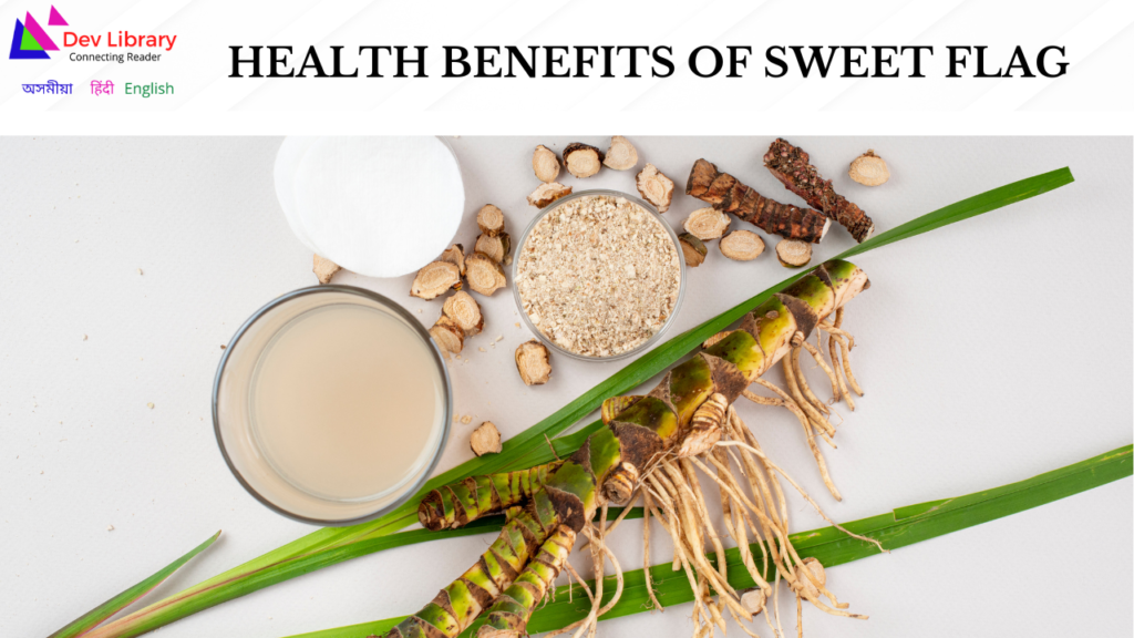 Health Benefits of Sweet flag