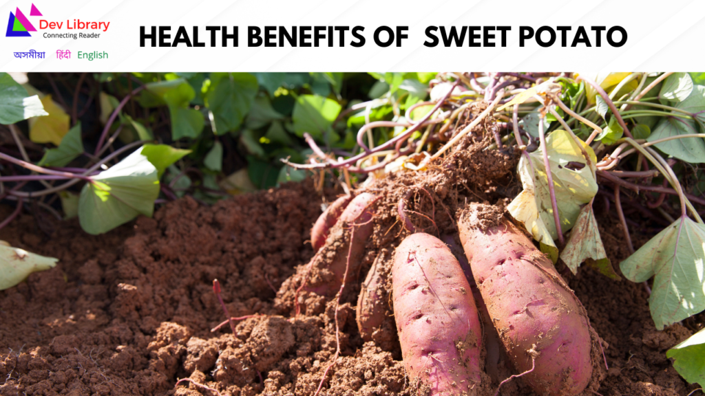 Health Benefits of Sweet Potato | মিঠা আলুৰ উপকাৰিতা