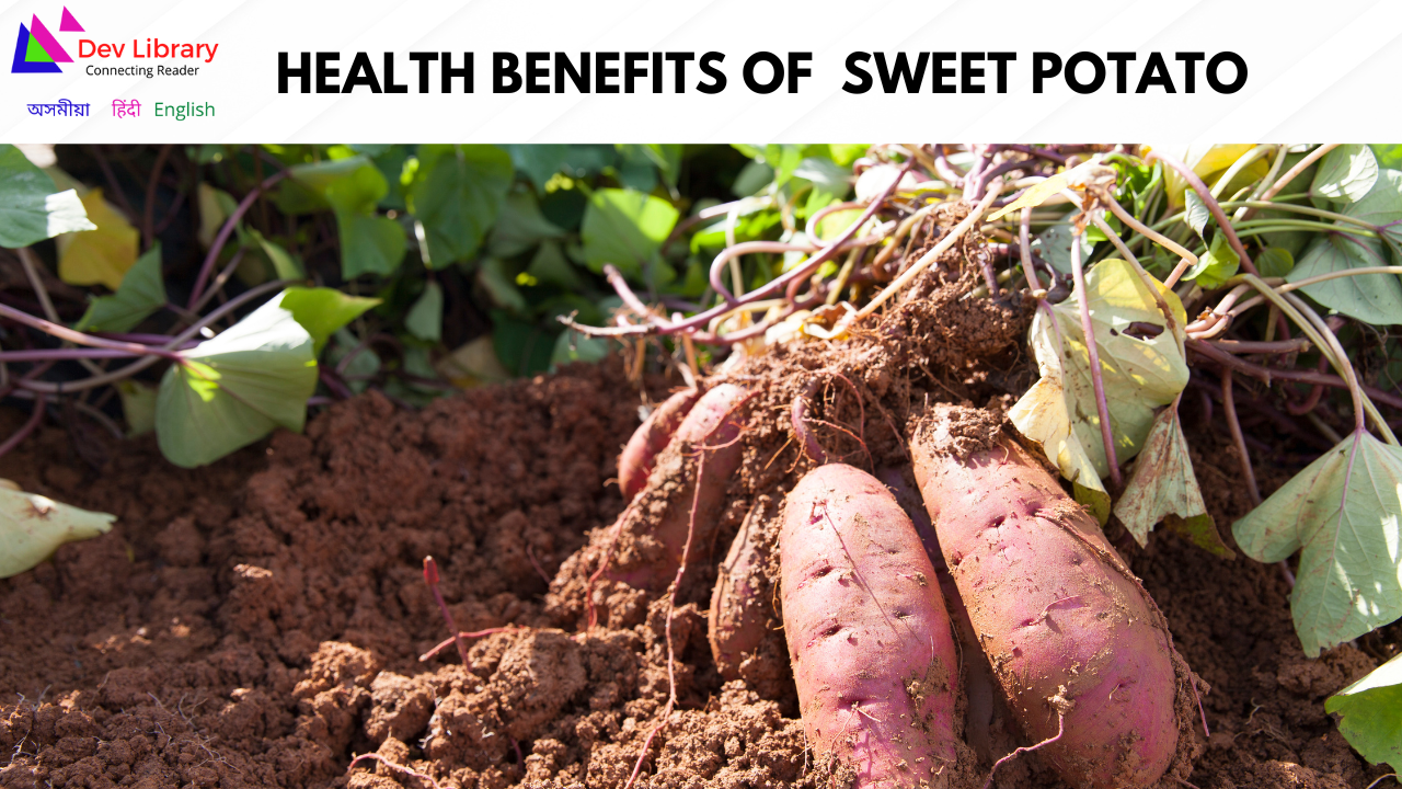 Health Benefits of Sweet Potato | মিঠা আলুৰ উপকাৰিতা