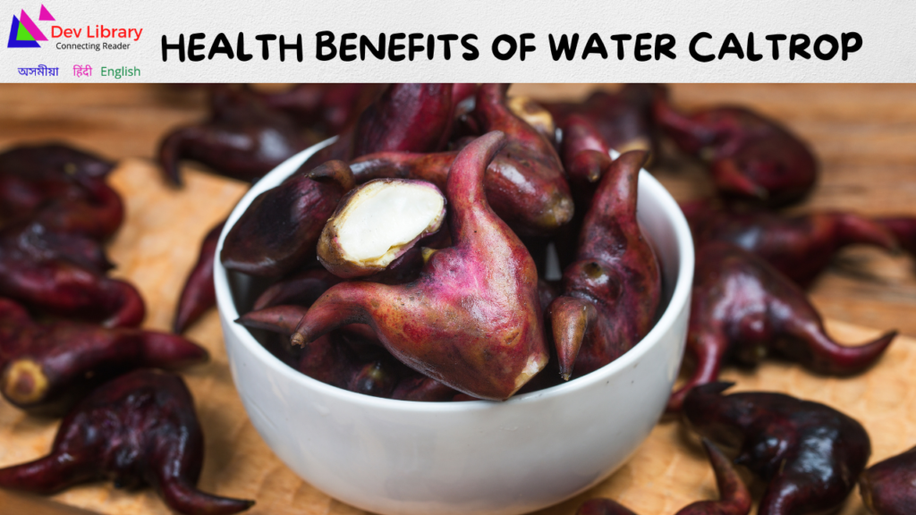 Health Benefits of Water Caltrop