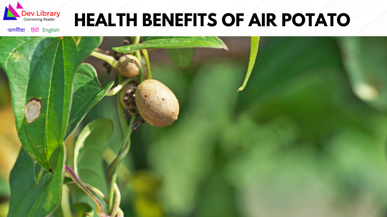 Health Benefits of Air Potato | কাঠ আলুৰ উপকাৰিতা