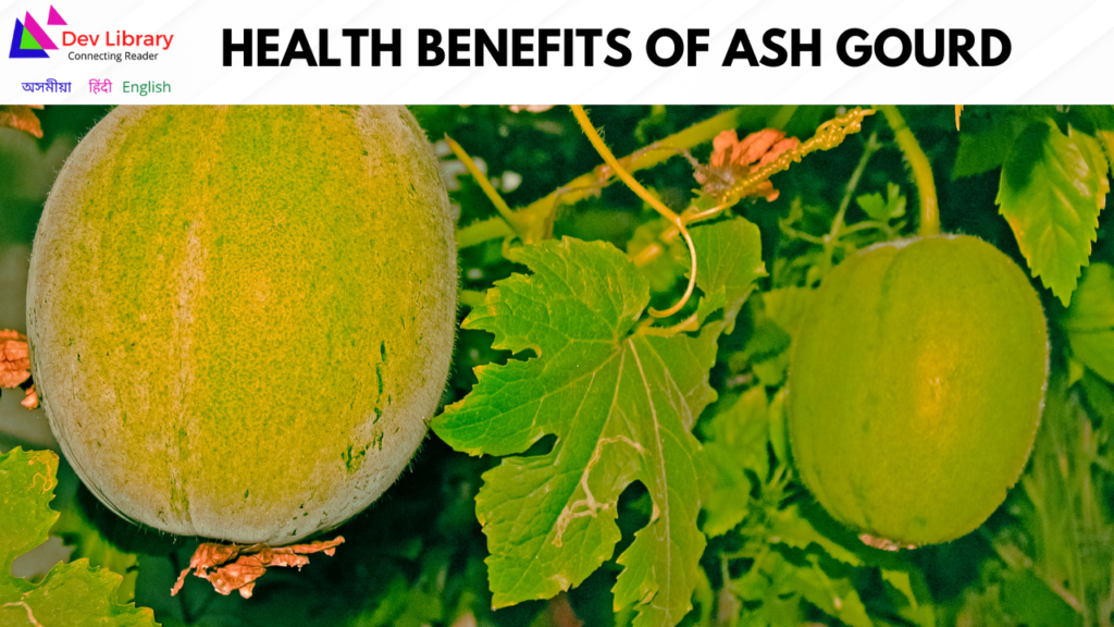 Health Benefits of Ash gourd | কোমোৰাৰ উপকাৰিতা