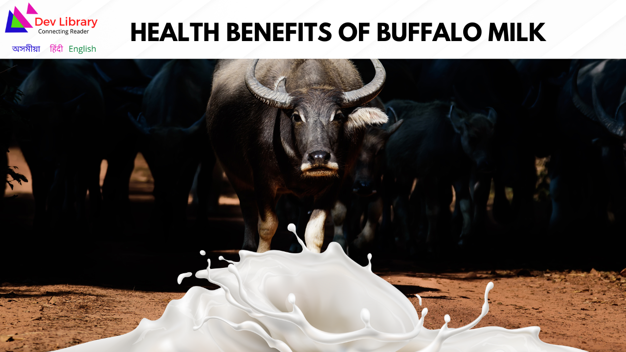 Health Benefits of Buffalo Milk | ম’হৰ গাখীৰৰ স্বাস্থ্যজনিত লাভালাভ