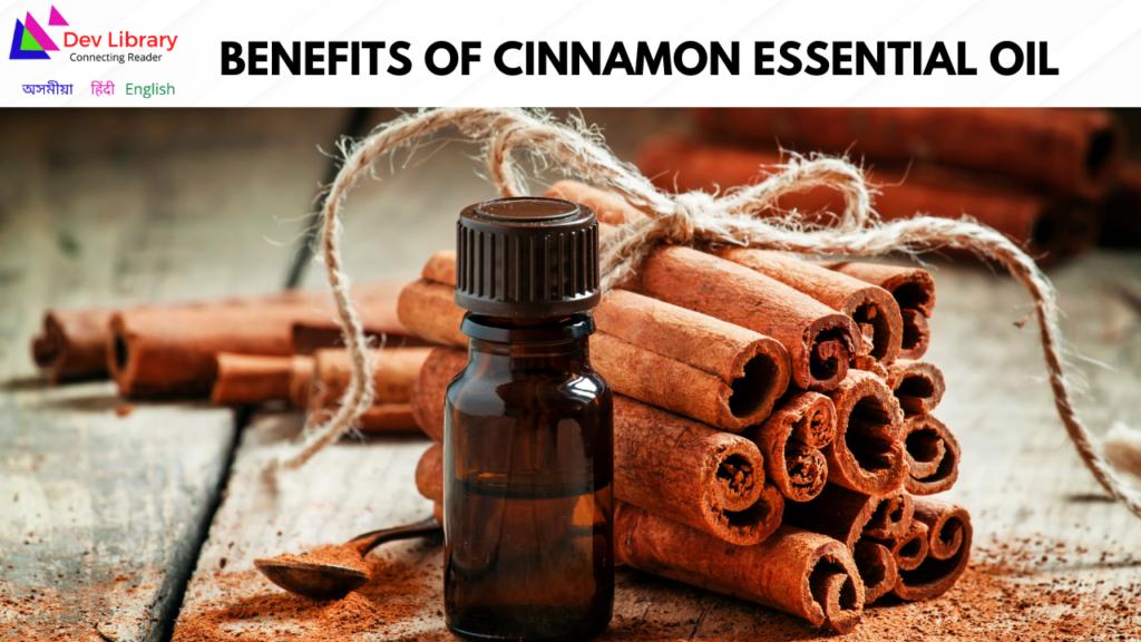 Benefits of Cinnamon Essential Oil | ডালচেনি অত্যাৱশ্যকীয় তেলৰ লাভালাভ